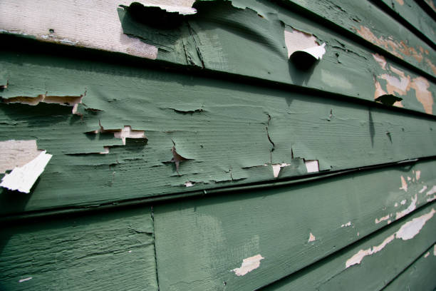 Best Demolition Debris Removal  in Port Carbon, PA